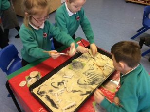 Primary 2 enjoying their new Dinosaur topic! 